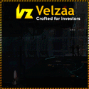 Velzaa Fincorp Ltd